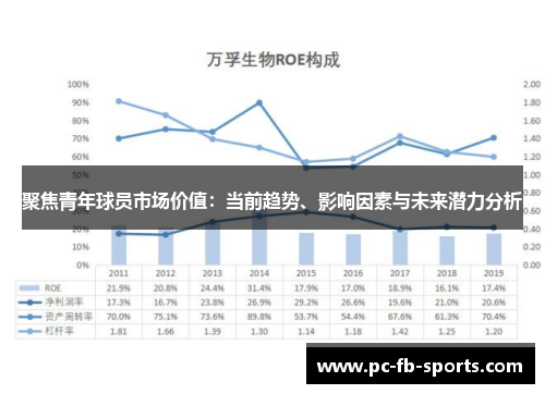 聚焦青年球员市场价值：当前趋势、影响因素与未来潜力分析