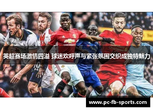 英超赛场激情四溢 球迷欢呼声与紧张氛围交织成独特魅力