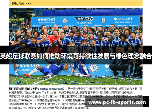 英超足球联赛如何推动环境可持续性发展与绿色理念融合