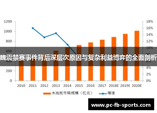 魏震禁赛事件背后深层次原因与复杂利益博弈的全面剖析